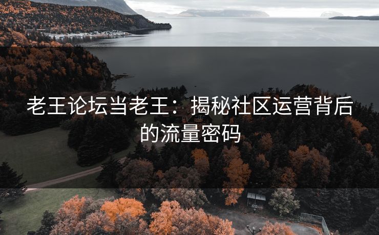 老王论坛当老王：揭秘社区运营背后的流量密码