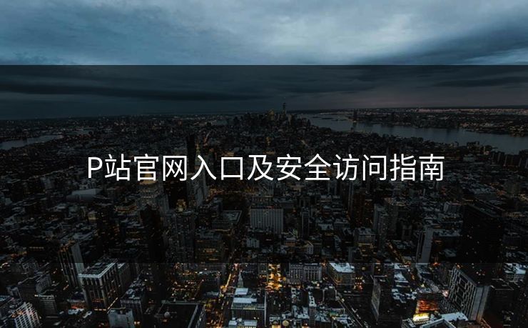 P站官网入口及安全访问指南
