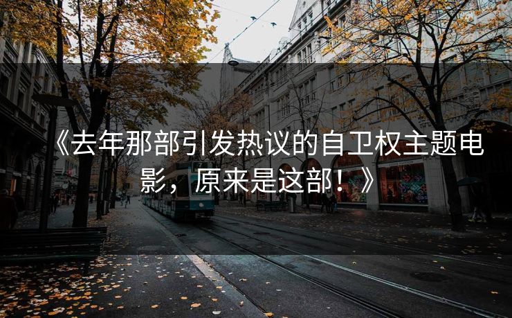 《去年那部引发热议的自卫权主题电影，原来是这部！》