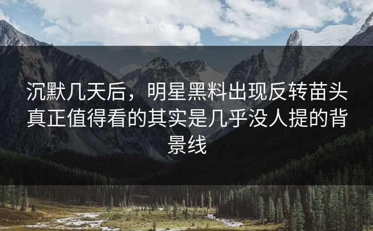 沉默几天后,明星黑料出现反转苗头真正值得看的其实是几乎没人提的背景线