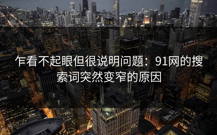 乍看不起眼但很说明问题:91网的搜索词突然变窄的原因